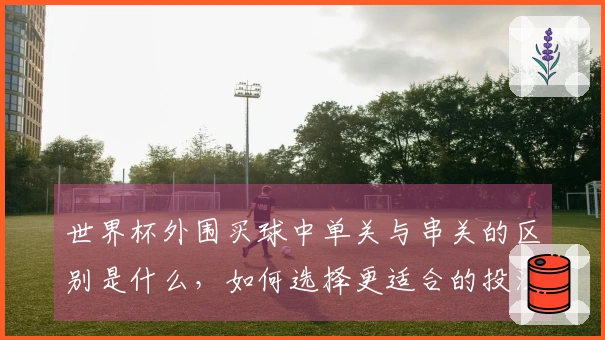 世界杯外围买球中单关与串关的区别是什么,如何选择更适合的投注方式?